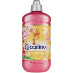 Coccolino Creations Honeysuckle & Sandalwood aviváž 58 PD 1,45 l – Hledejceny.cz