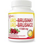 Uro Brusinky 60 tablet – Hledejceny.cz