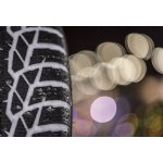 Nokian Tyres WR D4 205/50 R16 91H – Hledejceny.cz
