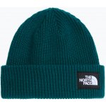 Zimní čepice The North Face Salty Lined pacific teal – Hledejceny.cz