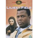 Lilies Of The Field DVD