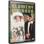 slaměný klobouk DVD – Hledejceny.cz