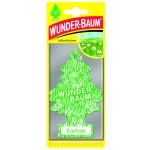 WUNDER-BAUM Everfresh – Hledejceny.cz