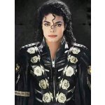 Norimpex diamantové malováníMichael Jackson, portrét 30 x 40 cm – Sleviste.cz