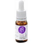 Ecopets sérum proti blechám a klíšťatům 10 ml – Zboží Dáma