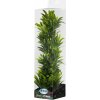 Akvarijní rostlina I--Z ATG Premium rostlina velká 38-42 cm 533
