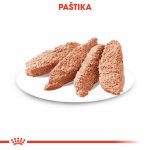 Royal Canin Dermacomfort Dog Loaf 12 x 85 g – Zboží Mobilmania