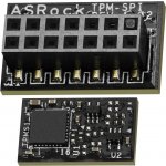 ASRock TPM-SPI – Zboží Živě