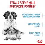 Royal Canin Starter Mother&Babydog Medium 1 kg – Hledejceny.cz