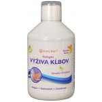 Swedish Nutra Collagen Joint Support kĺbová výživa 500 ml – Hledejceny.cz