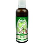 Naděje Olše tinktura z pupenů rostlin 50 ml – Hledejceny.cz