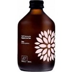 Natu Kombucha bio probiotický nápoj Cucumber & Coriander 315 ml – Zboží Dáma Natu Kombucha bio probiotický nápoj Cucumber & Coriander 315 ml – Zboží Dáma