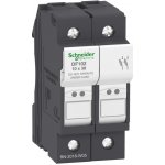 SCHNEIDER ELECTRIC SCHNEIDER Odpínač VARIO DF102 2P 32A pojistkový DF102 – Hledejceny.cz