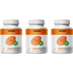 MycoMedica BIO Reishi PRO 3 x 90 kapslí – Hledejceny.cz