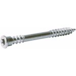 Terasový vrut s čočkovou hlavou TX25 ocel A2 5 x 60 mm, 1 kg – Hledejceny.cz