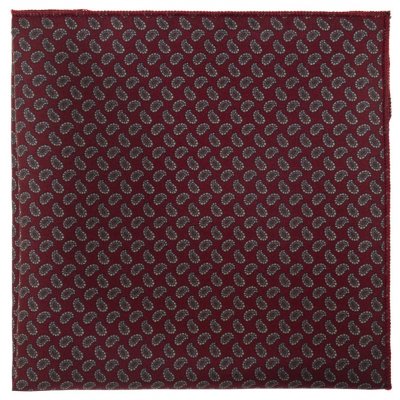 Avantgard Kapesníček do saka hedvábný Premium 610-3216 bordó – Hledejceny.cz