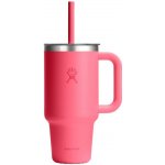 Hydro Flask termoláhev 32 oz Wide Flex Straw Travel Bottle 946 ml Popstar Pink – Hledejceny.cz