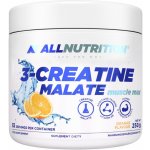 AllNutrition 3-Creatine Malate Muscle Max 250 g – Hledejceny.cz