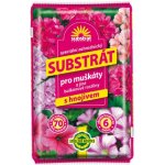 Forestina Substrát pro muškáty a balkonové rostliny 10 l – Zboží Mobilmania