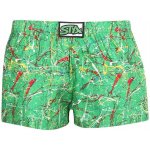 Styx dětské trenky art klasická guma Jáchym (J1353) – Zboží Dáma