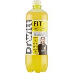 DrWitt FIT mango cit. zel.čaj 0,75 l – Hledejceny.cz