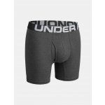 Under Armour UA Charged Cotton 6in 3Pack – Zbozi.Blesk.cz