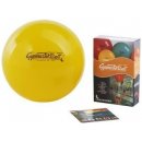 PEZZI GymBall 42 cm