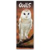 Kalendář Owls Eulen 2024