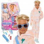Mattel Barbie Dream Besties Ken a doplňky – Hledejceny.cz
