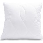 Brotex Polštář Aloe Vera 40x40 250g zip – Zboží Mobilmania