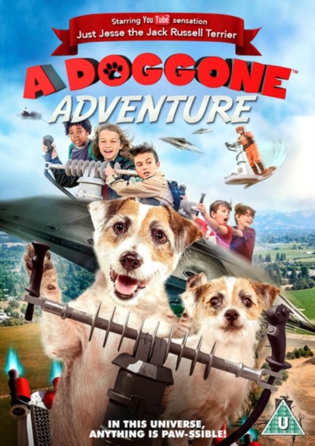 A Doggone Adventure DVD