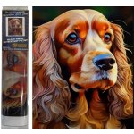 Norimpex diamantový obrázek Pes kokršpaněl 30 x 40 cm – Hledejceny.cz