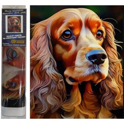 Norimpex diamantový obrázek Pes kokršpaněl 30 x 40 cm – Hledejceny.cz