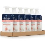 Felce Azzurra Intimní gel Delicato s heřmánkem 6 x 250 ml – Zboží Dáma