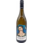 Catherine Marshall Sauvignon Blanc 2023 Bílé 14,5% 0,75 l (holá láhev) – Hledejceny.cz