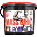 Megabol Whey Mass Gain 3000 g