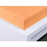 Xpose Jersey prostěradlo Exclusive meruňkové 90x200 – Hledejceny.cz