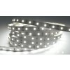 LED pásek Ecolite DX-60SMD-4100/25M