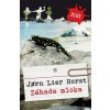 Kniha Záhada mloka - Jørn Lier Horst