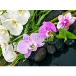 WEBLUX 50426664 Fototapeta vliesová Wellness Concept: orchids Wellness koncept: orchideje bambus kámen voda rozměry 270 x 200 cm