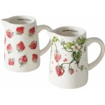 Boltze Home džbán STRAWBERRY 500 ml – Zbozi.Blesk.cz