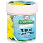 Green idea Tribulus bylinný extrakt 60 kapslí – Hledejceny.cz