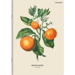 Top 2000 Sešit Summer Harvest Club A5 linkovaný – Zboží Dáma