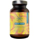 Herbalus Bystrý mozek 60 kapslí – Hledejceny.cz