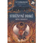 Strážkyně draků: Město tajemství - Liz Flanaganová – Zbozi.Blesk.cz