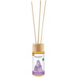 Taoasis Baldini Aroma difuzér s tyčinkami Buddha Scent BIO 50 ml – Sleviste.cz