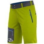 Crazy short RESOLUTION MAN LIKEN – Zboží Dáma