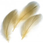 Veniard Kachna divoká Mallard Duck Drake Grey Flank Mixed tmavě olivová – Hledejceny.cz