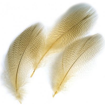 Veniard Kachna divoká Mallard Duck Drake Grey Flank Mixed tmavě olivová – Hledejceny.cz