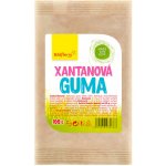 Wolfberry Xantanová guma 100 g – Zboží Mobilmania